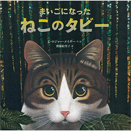 まいごになったねこのタビー