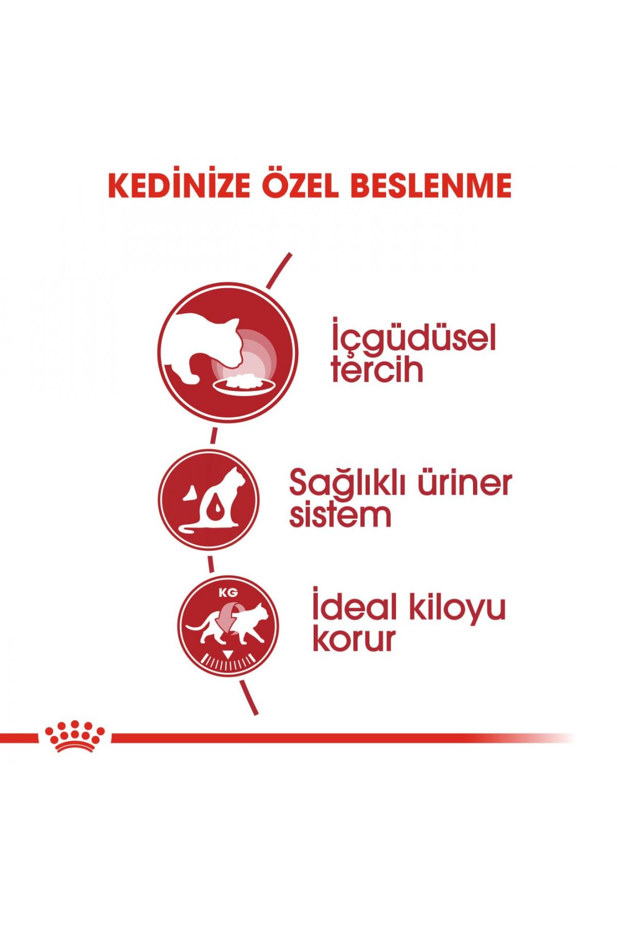 ROYAL CANIN Feline Instinctive Sauce Portionsbeutel Adult 48 x 85g