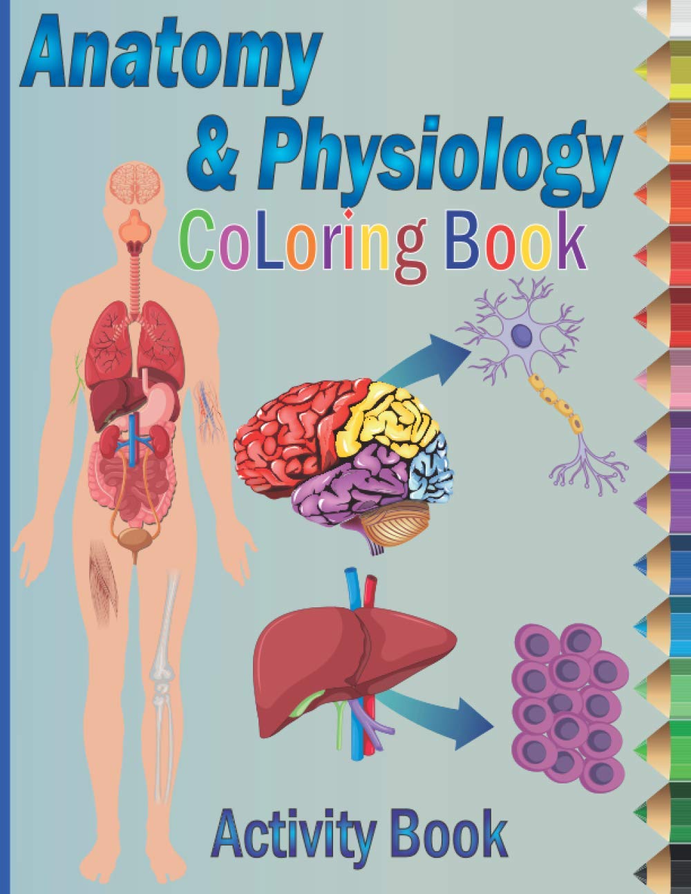 Anatomy and Physiology Coloring Book: Self-Test Human Anatomy Coloring Book, Exploring Creation with Human Anatomy and Physiology Coloring Workbook for Adults, Teens, and Students