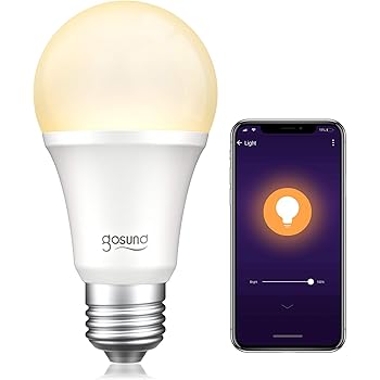 google equivalent of alexa