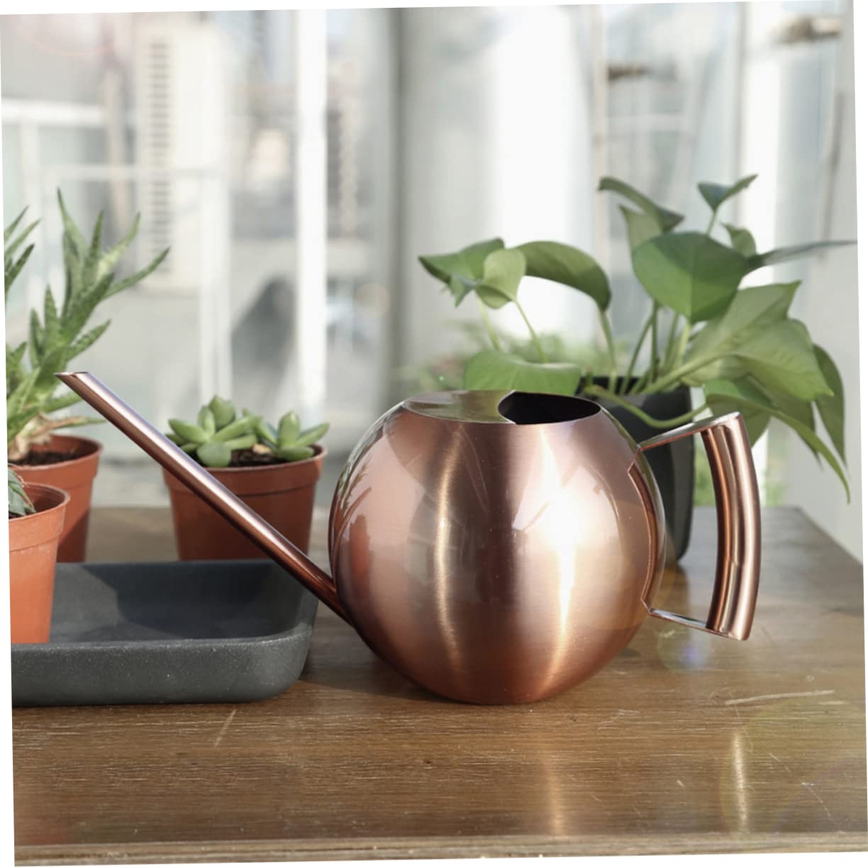 Konewka, Butelka na wodę ze stali nierdzewnej Metalowa konewka Konewka do Bonsai w pomieszczeniach Konewka do Bonsai Konewka do roślin domowych Rośliny Podlewanie zraszacz Czajnik Urządzenie do podlew
