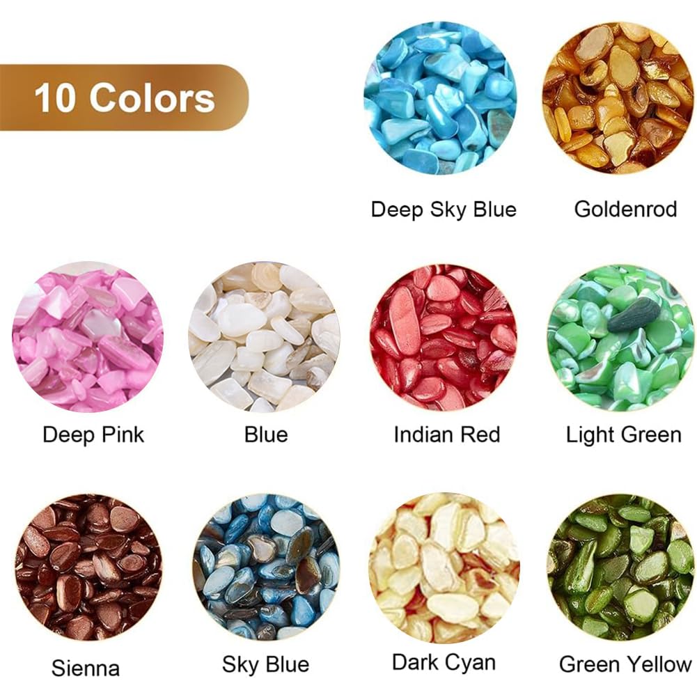 Jangostor 100PCS Conchiglie di mare Misto Oceano Spiaggia conchiglie,Varie Dimensioni Colorato Naturale Conchiglie Stella marina Perfetto per riempitivi di vasi