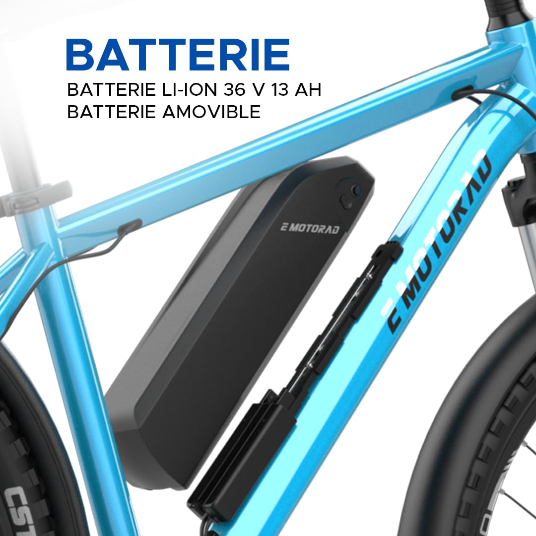 EMotorad T-Rex Pro | Vélo Électrique Tout-Terrain 250W | Batterie Amovible 13Ah | Autonomie jusqu'à 70 km | Moteur 36V 250W | Suspension 100 mm | Freins à Disque | Guidon Intégré avec Écran i13