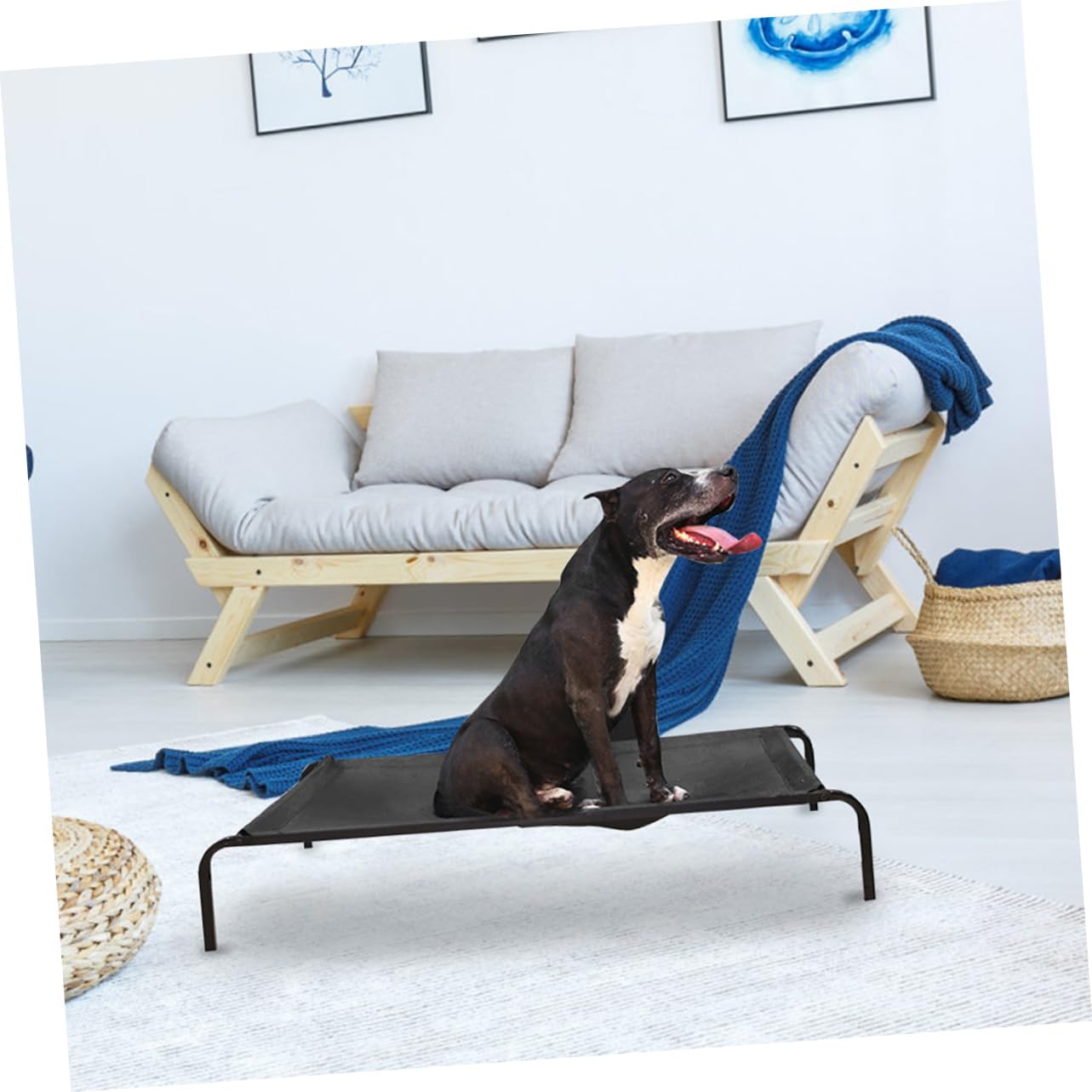 BESTonZON Breathable Mesh Pet Cot for Use Removable Washable Dog Bed Cover Cooling Camp Bed for Small Pets Comfortable Design
