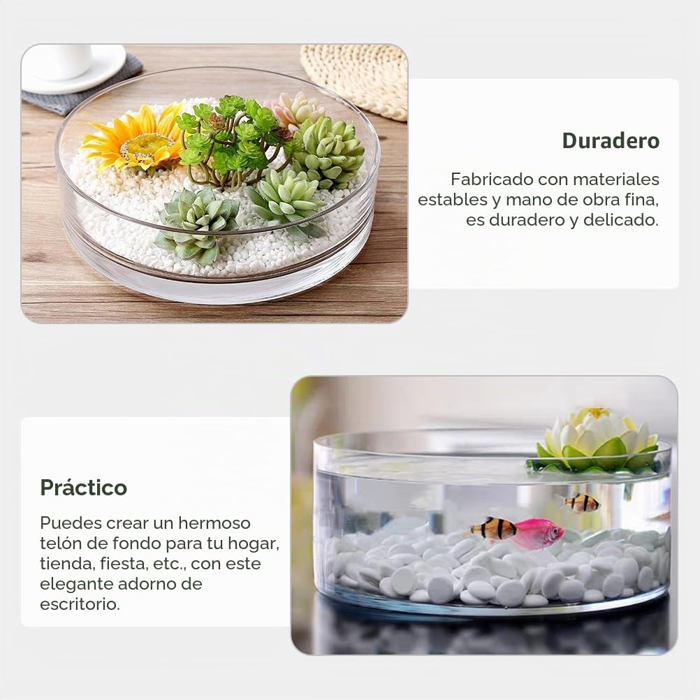 FOMIYES Jarrón cilíndrico Ancho de Vidrio, jarrón Transparente para Flores, Maceta hidropónica de Cristal, Maceta para terrario, Cuencos de Cristal, centros de Mesa, jarrón para Plantas