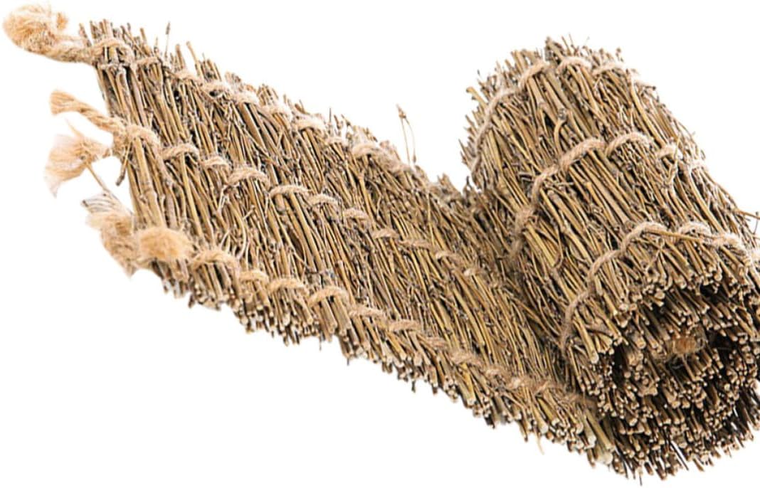 Branch Photo Props for Tea Party Backdrop, Coffee
