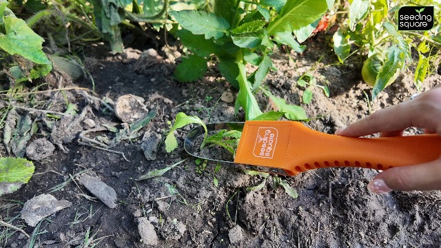 Herramienta manual ligera para deshierbe preciso de jardín miniatura 7
