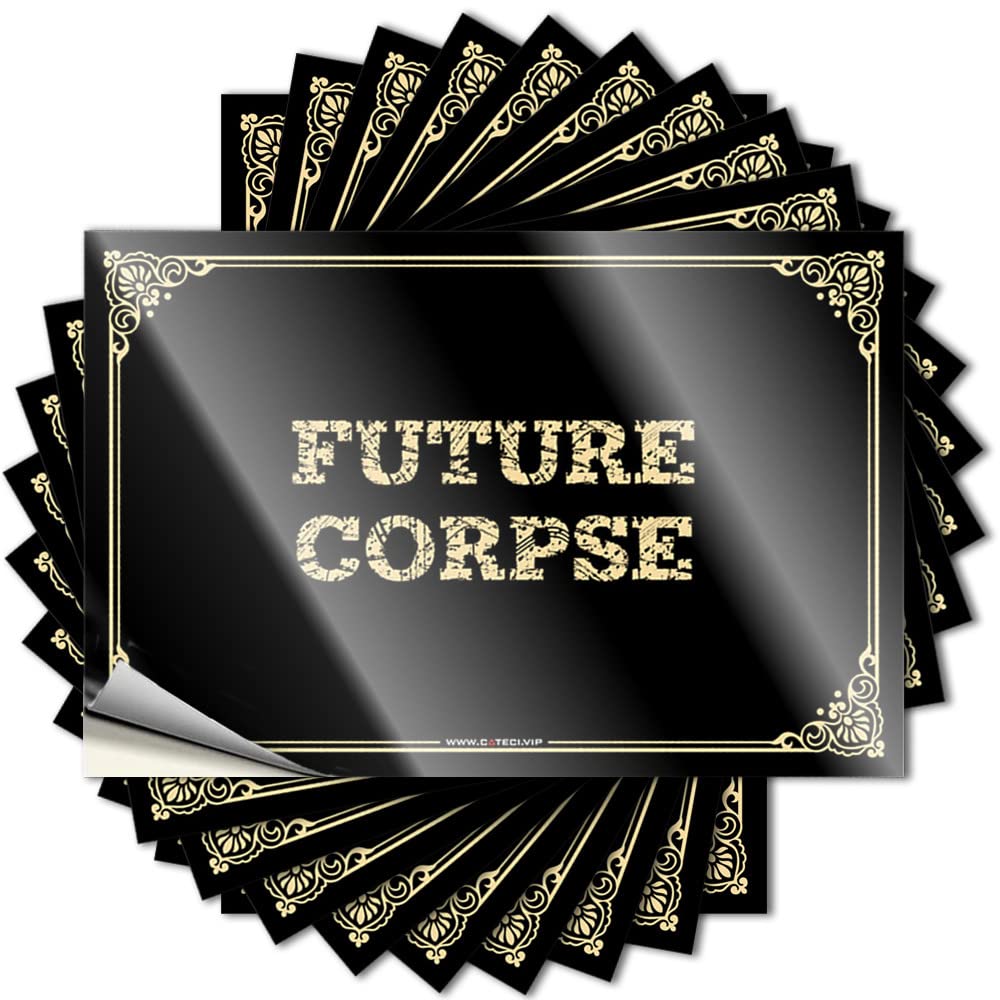 Funny Sticker Space Durable Vinyl - Future Corpse Laptop for Antimicrobial Use(12X18CM)