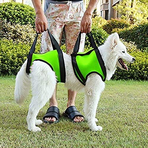 Creation Core Dog Lift Rehabilitation Support Harness Assist for Elderly Disable Joints Surgery(Red,28-35Kg) - Thumbnail 6