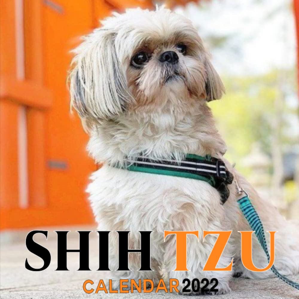 buy-shih-tzu-calendar-2022-special-gift-for-shih-tzu-dog-lovers