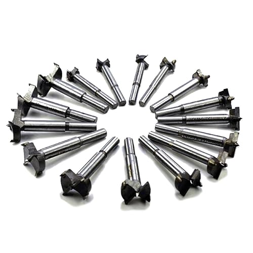 Forstner - Juego de 16 brocas de perforación de 0.591-1.378 in, losas de madera, agujero de perforación de ala plana, bisagra de perforación de