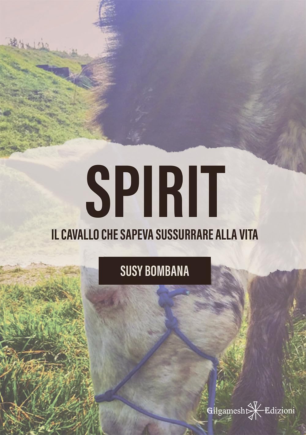 Spirit. Il Cavallo Che Sapeva Sussurrare Alla Vita - 4