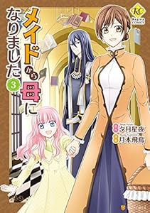 メイドから母になりました３ (レジーナCOMICS)
