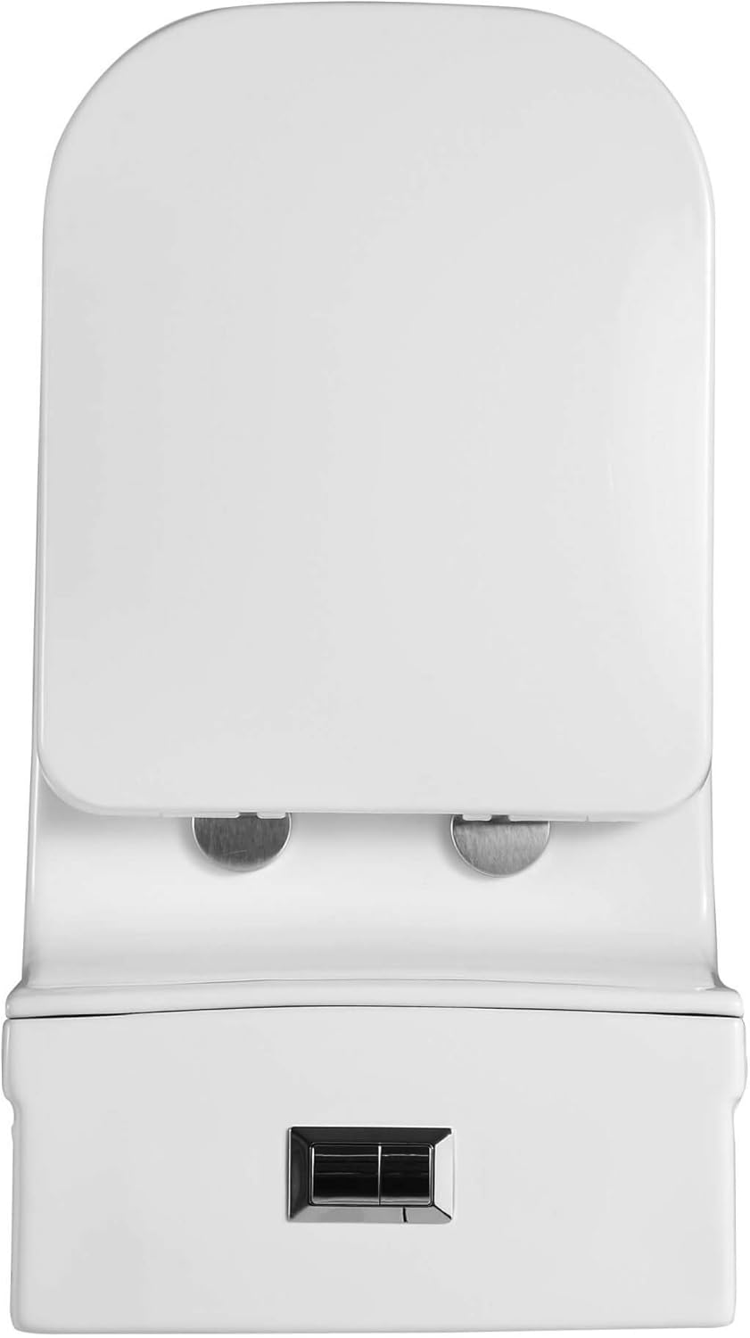Fine Fixtures Dual-Flush Elongated One-Piece Toilet with High Efficiency Flush