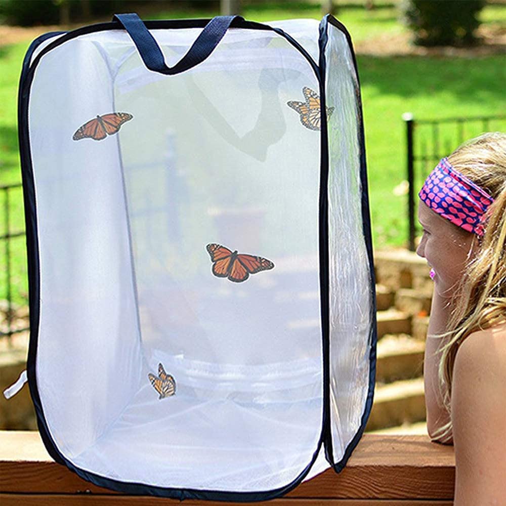 1 Stück Schmetterlings Habitat Käfig, Insekten Habitat Käfig, Faltbarer Netzkäfig Für Insektenhabitat, Sämlingszucht - 5