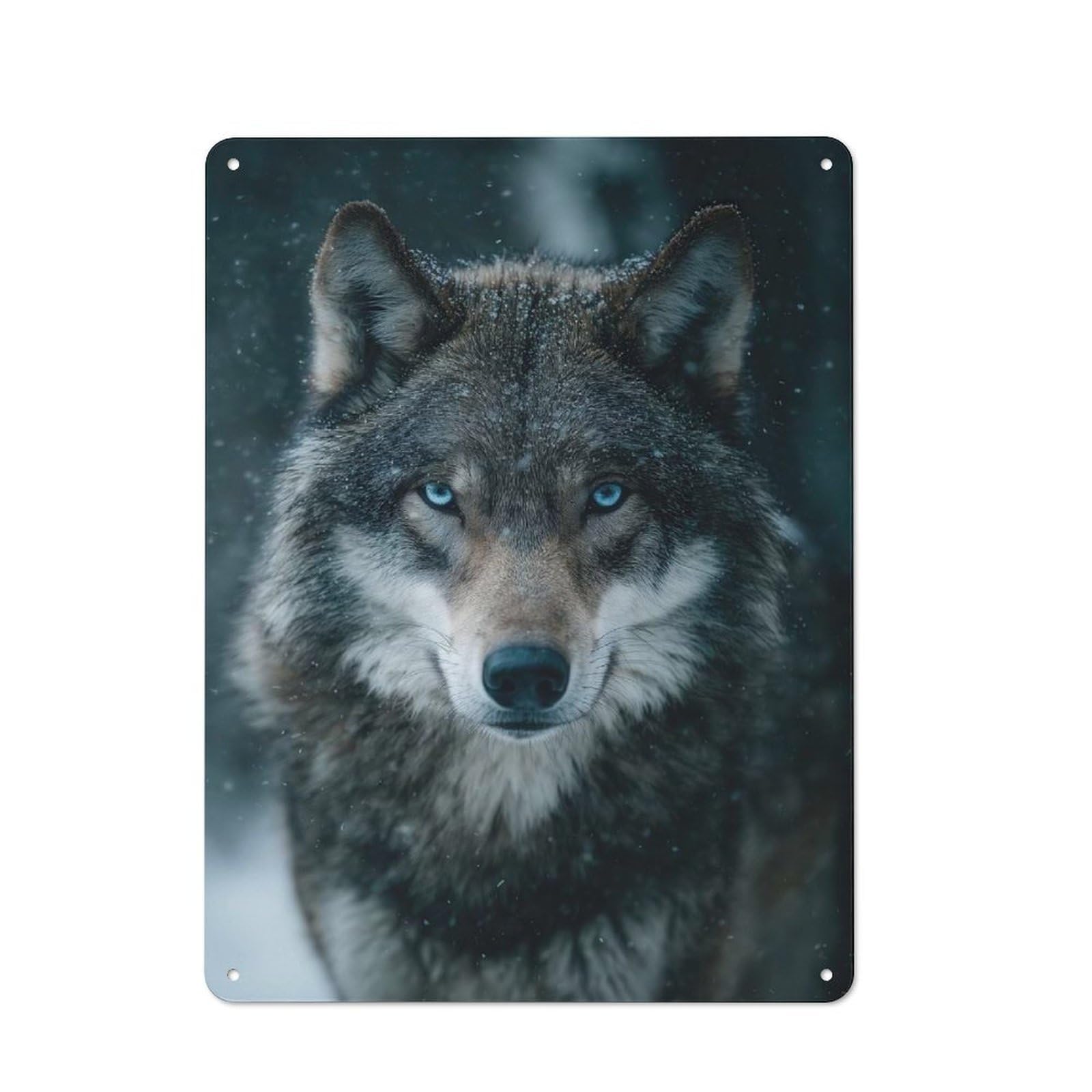 Tin Sign 40x30cm with Wolf Portrait for Pub Or Café, Retro Decor, for Vintage Wall Decor Fans, for Cafés, Pubs And Restaurants