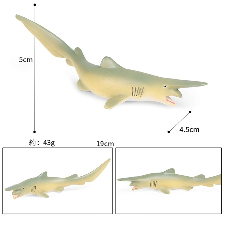 ミツクリザメ　フィギュア　約28cm Amazon | Eden Toys ミツクリザメ サメ 魚類 動物 野生動物 海洋
