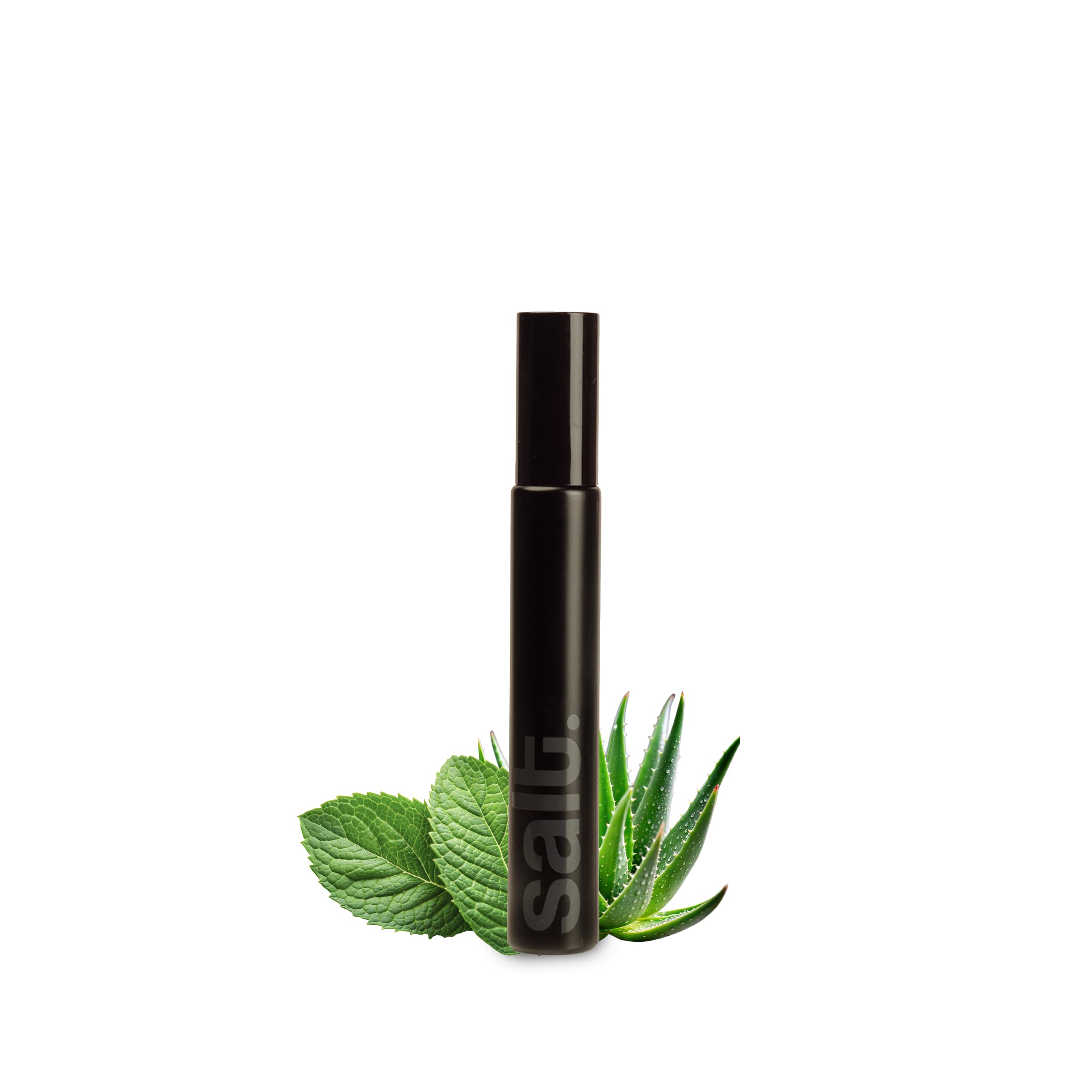 Salt Amalfi Mouth Spray | Spearmint Flavor | 10ML | Hydrating Oral Care with Hyaluronic Acid & Aloe Vera | Sugar-Free Fresh Breath Spray (B0DG355BNR) Amazon Price History, Amazon Price Tracker