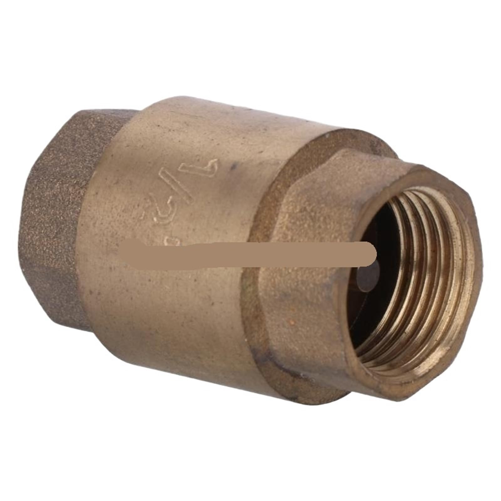 Dkgnyxnplj Brass Spring Vertical Check Valve