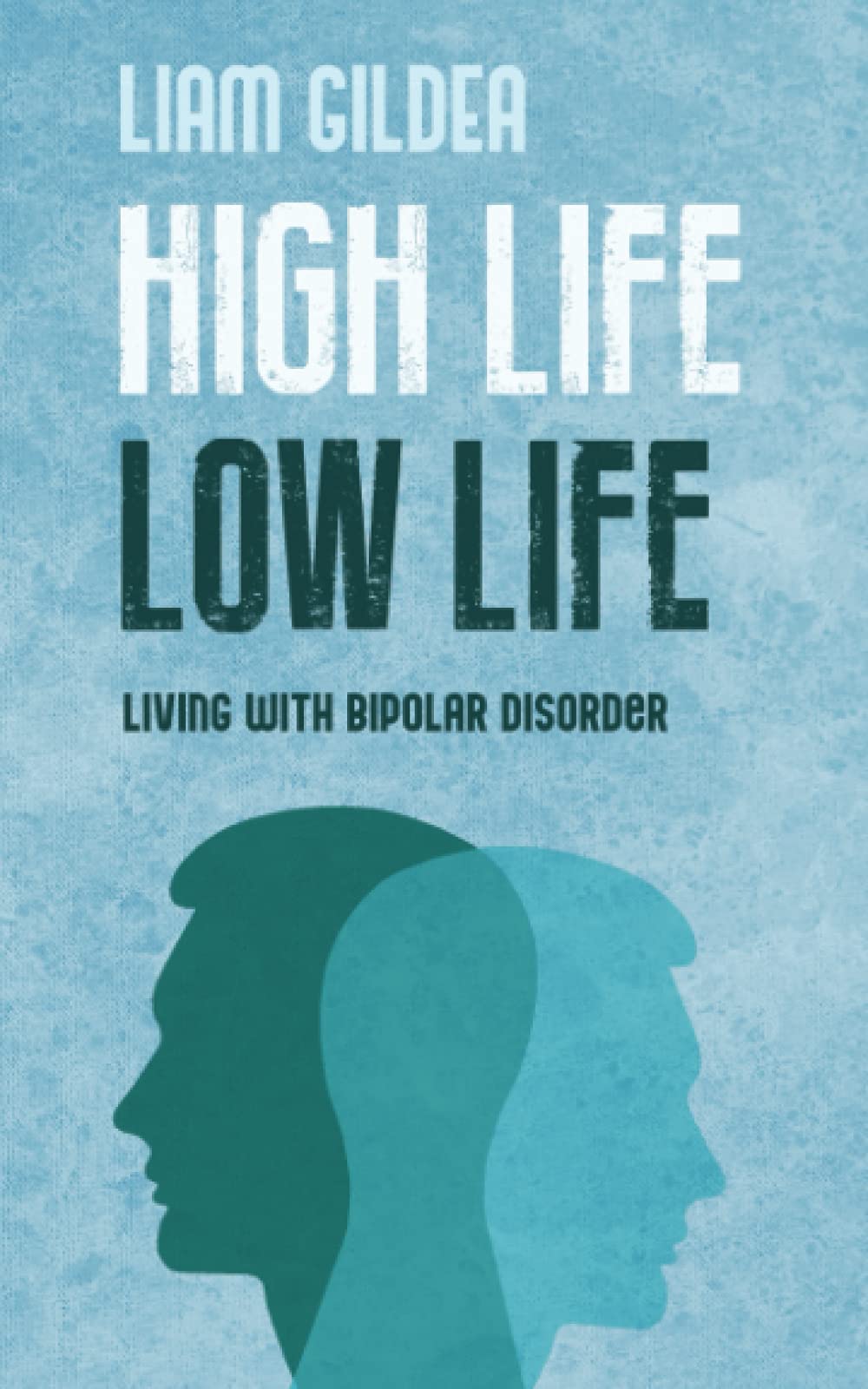 HIGH LIFE LOW LIFE: Living with bipolar disorder