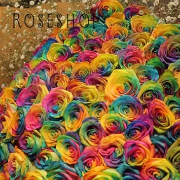 Amazon レインボーローズ 虹バラ 300本の花束 キラキラ白いかすみ草付き 花言葉 奇跡 誕生日 お祝い Roseshop 花束 通販