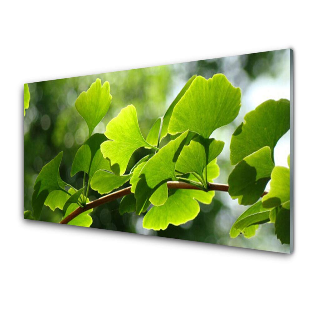Tableau en Verre Trempu00e9 Tulup 100x50cm Solution Murale Durable Salon Moderne