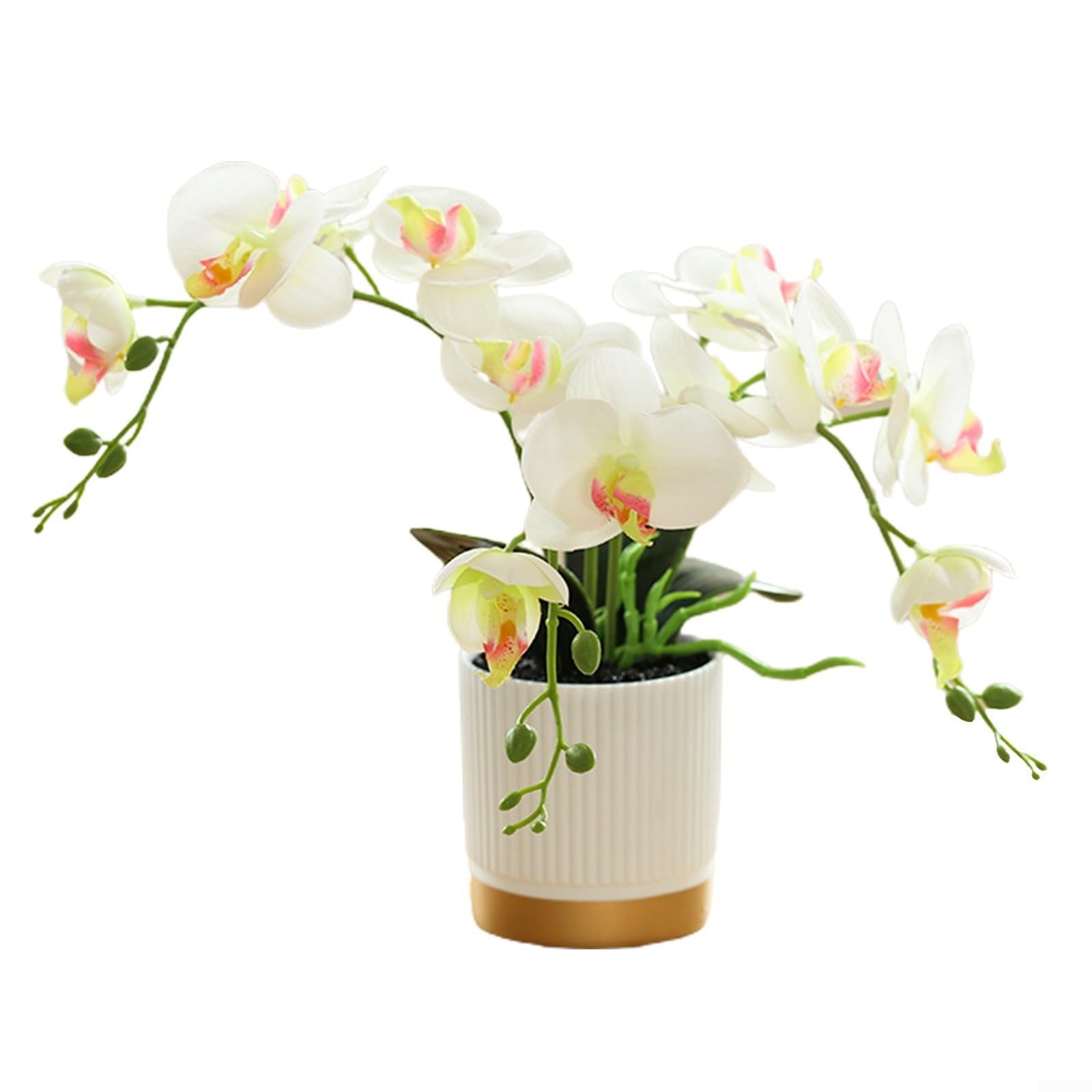 Artificial Phalaenopsis Orchid Bonsai Decoration, realistic orchid decoration,Realistic Flower Plant with White Gold Rimmed Pot for Home (White)