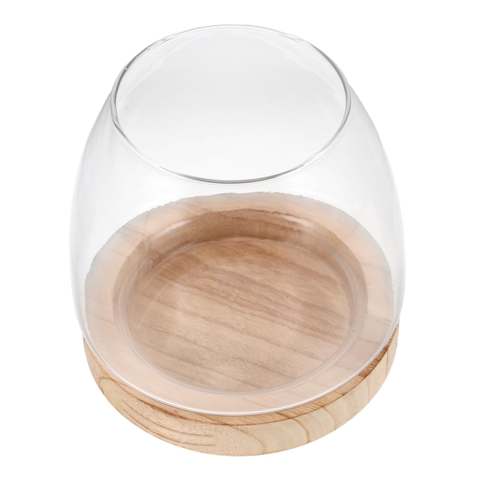 Vase Hydroponique Verre avec Base Petit Bocal pour Culture de Plantes Intérieur Décoration de Bureau et Maison Support Stable pour Propagation Facile