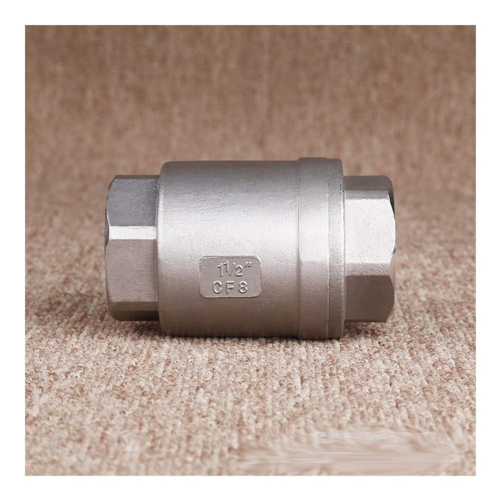 Clapet anti-retour inox 304 DN15 étanchéité durable 1000 WOG en ligne