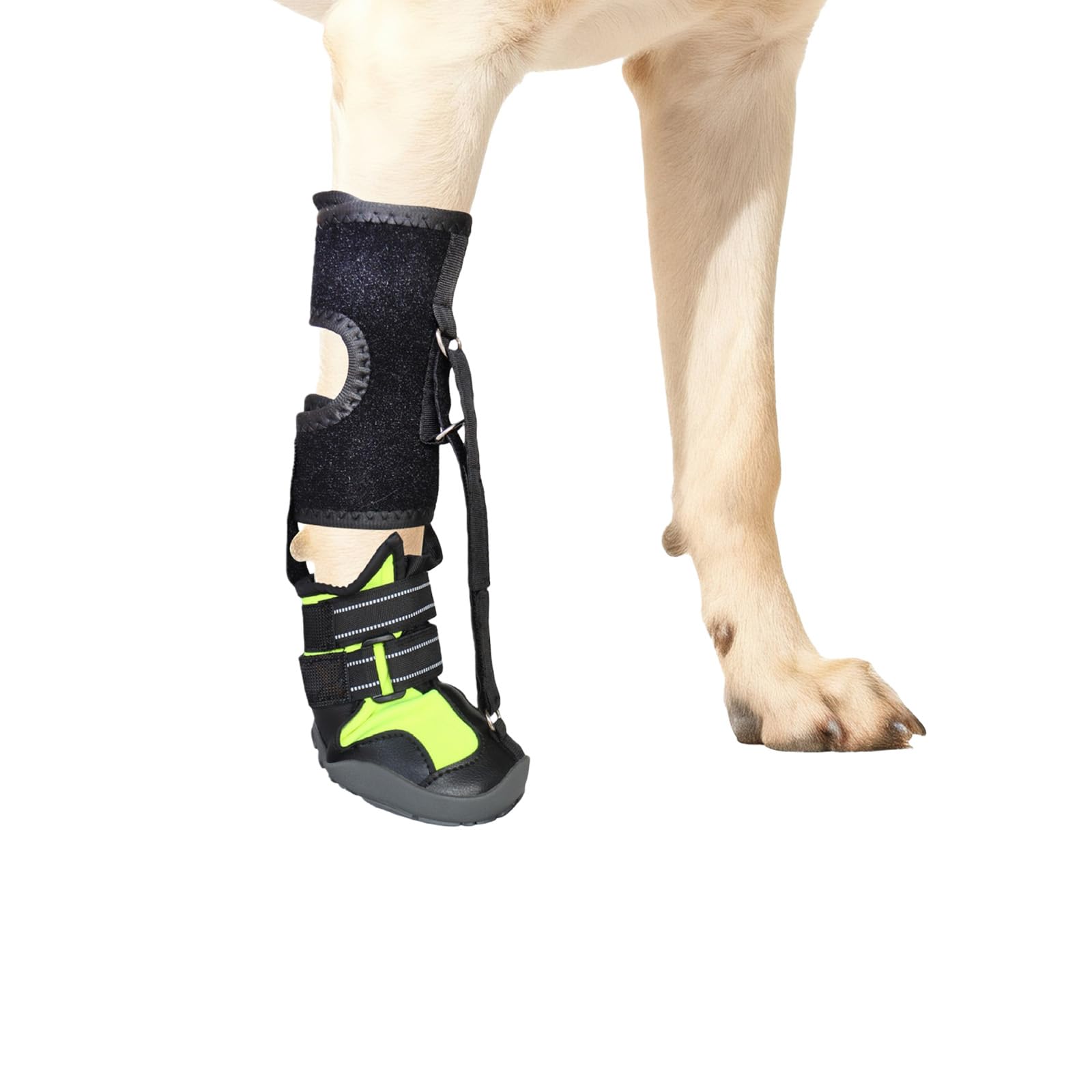 yanwuwa Corrective Dog Shoes Drops Foot Brace with Reel for Dogs with Feet Issue,Improving Walking Gait Not Knuckling Boot Brace None Knuckling Boot Brace for Dog Dragging Paws