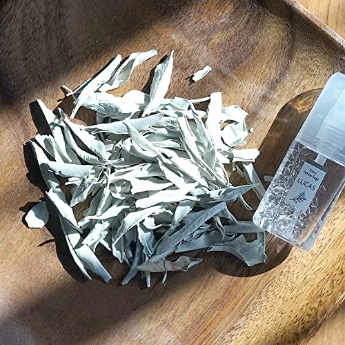 zCgZ[W 򉻗p LUCAS JX ([t̂݁yJtHjAYI[KjbNz) ([t̂ 10gyJtHjAYI[KjbNz)