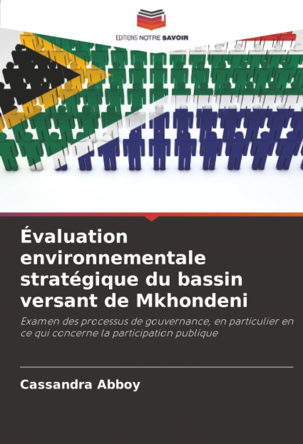 Évaluation environnementale stratégique du bassin versant de Mkhondeni: Examen des processus de gouvernance, en particulier en ce qui concerne la participation publique