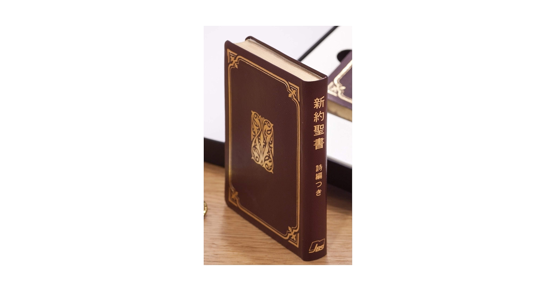 詳訳聖書 新約 517oeQuIeBL.jpg