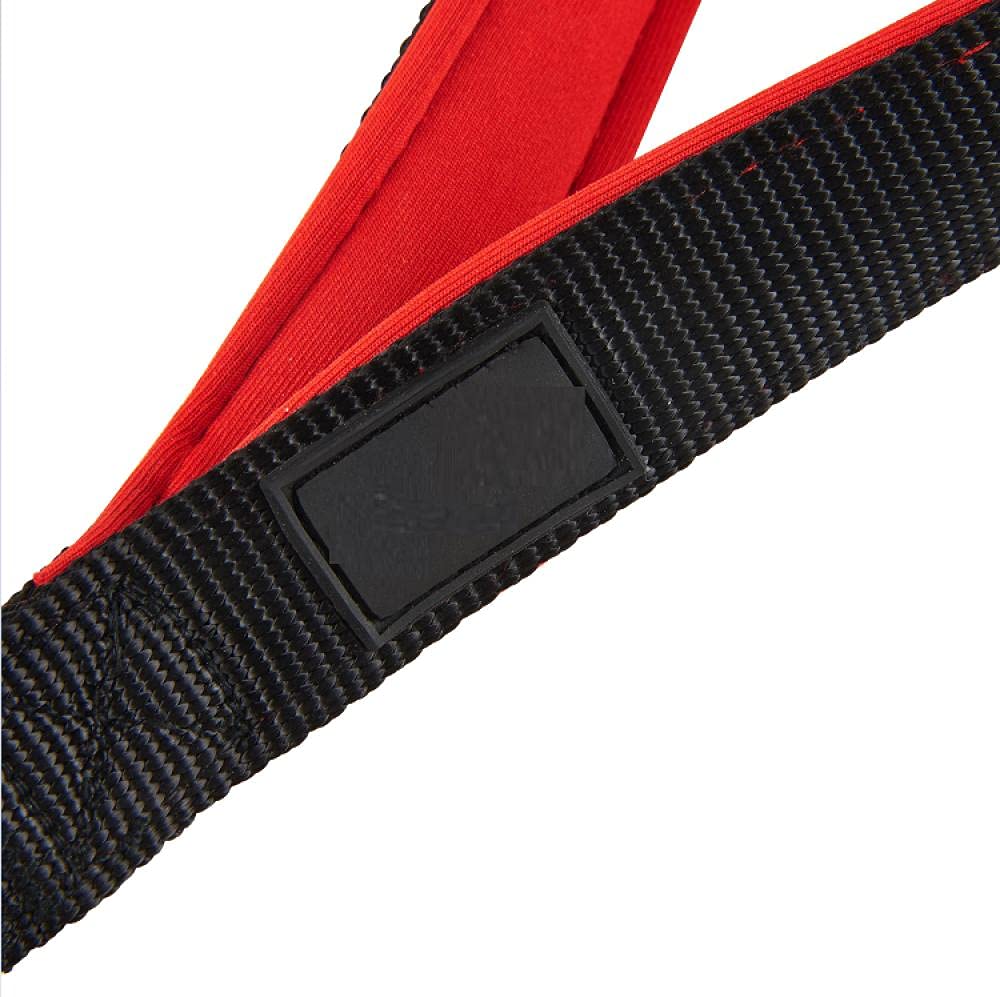 Correa Corta para Perros, Resistente, roja, con asa Acolchada y cómoda, para Perros medianos y Grandes, Reflectante, Talla M, Correa de tracción para Perros (M)