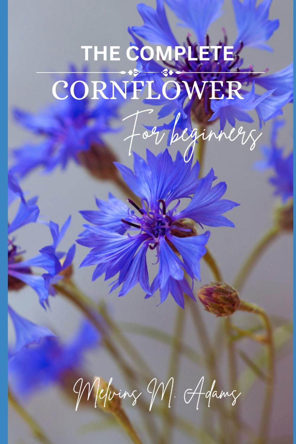 How to grow Cornflower for beginners: The Ultimate Beginner’s Guide to Growing, Caring for, and Harvesting Conflowers at Home and garden