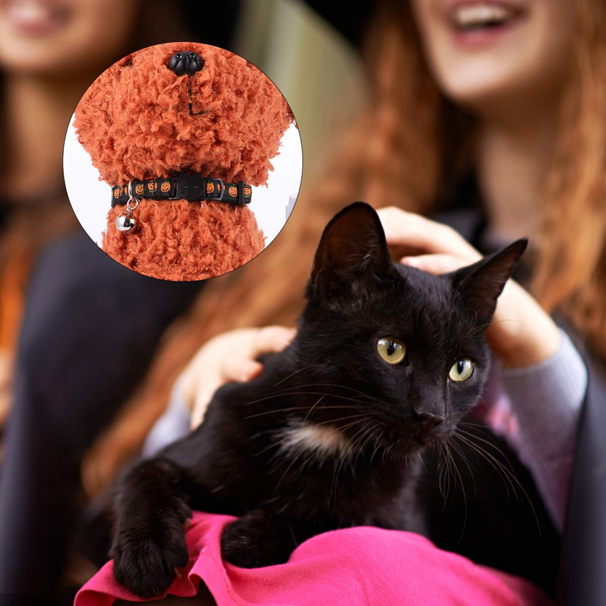 Mipcase 9stücke Teiliges Verstellbares Halloween Katzenhalsband Mit Glöckchen Süßes Design Kürbis Schädel Spinnennetz Für Haustiere Für Halloween-feiern