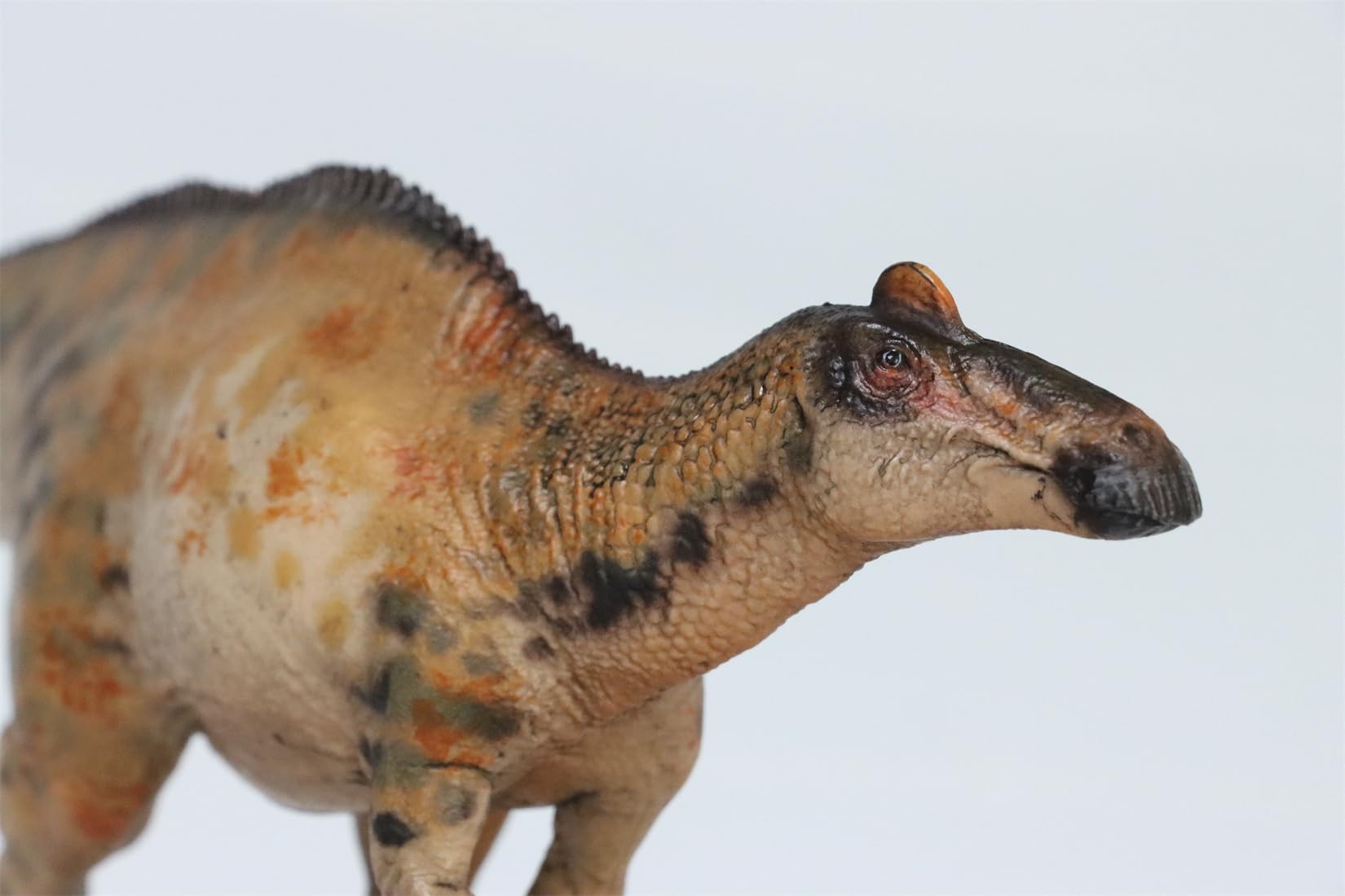 AMITD HLG Studio 1:35 Scale Edmontosaurus Model Realistic PVC Dinosaur Figure Collecor Home Decor Gift for Adult (arancione)