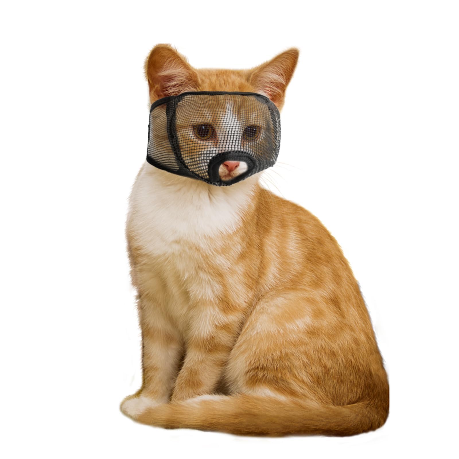 Wintchuk Cat Muzzle