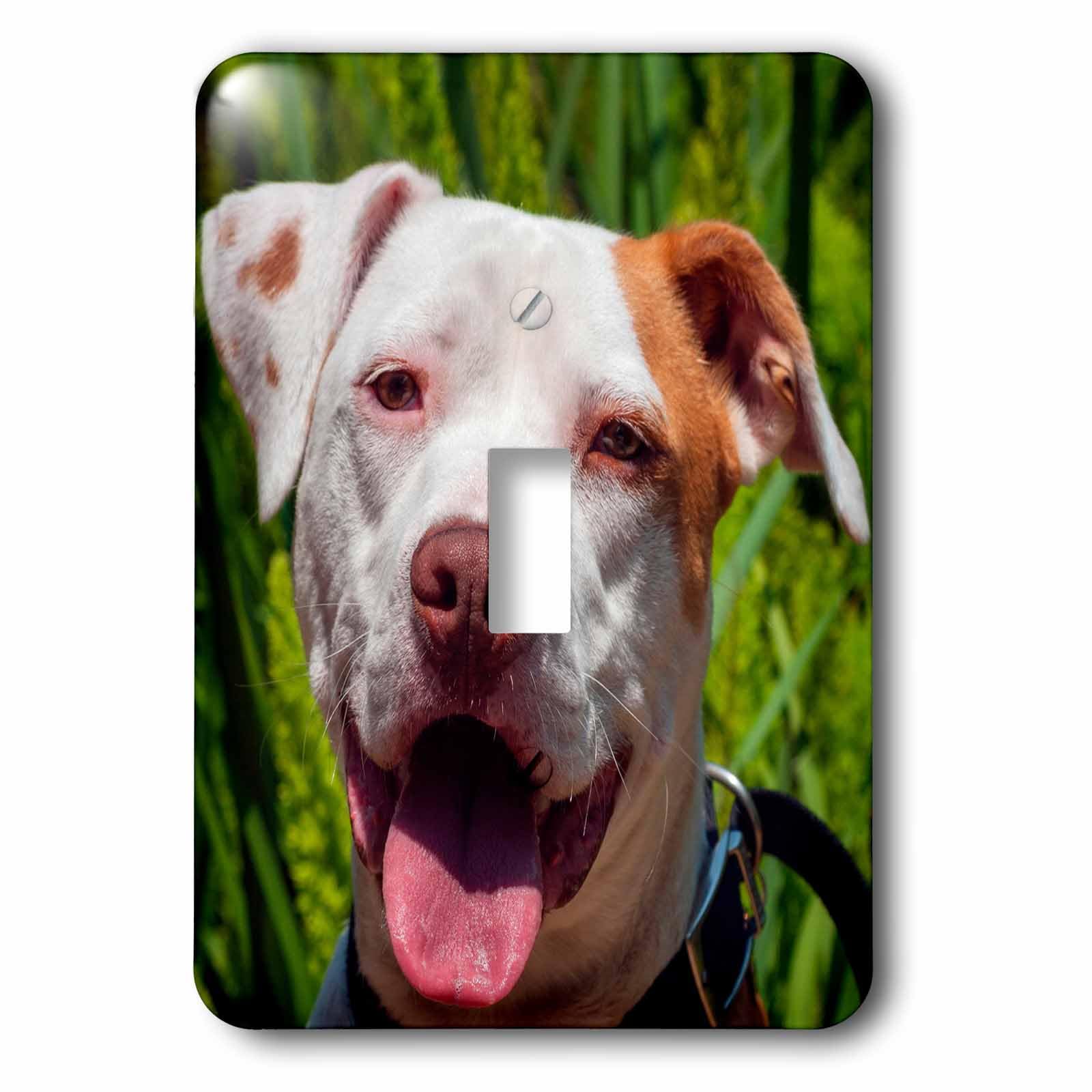 Interrupteur American Pit Bull Portrait lsp_230313_1 pour célébrer votre passion