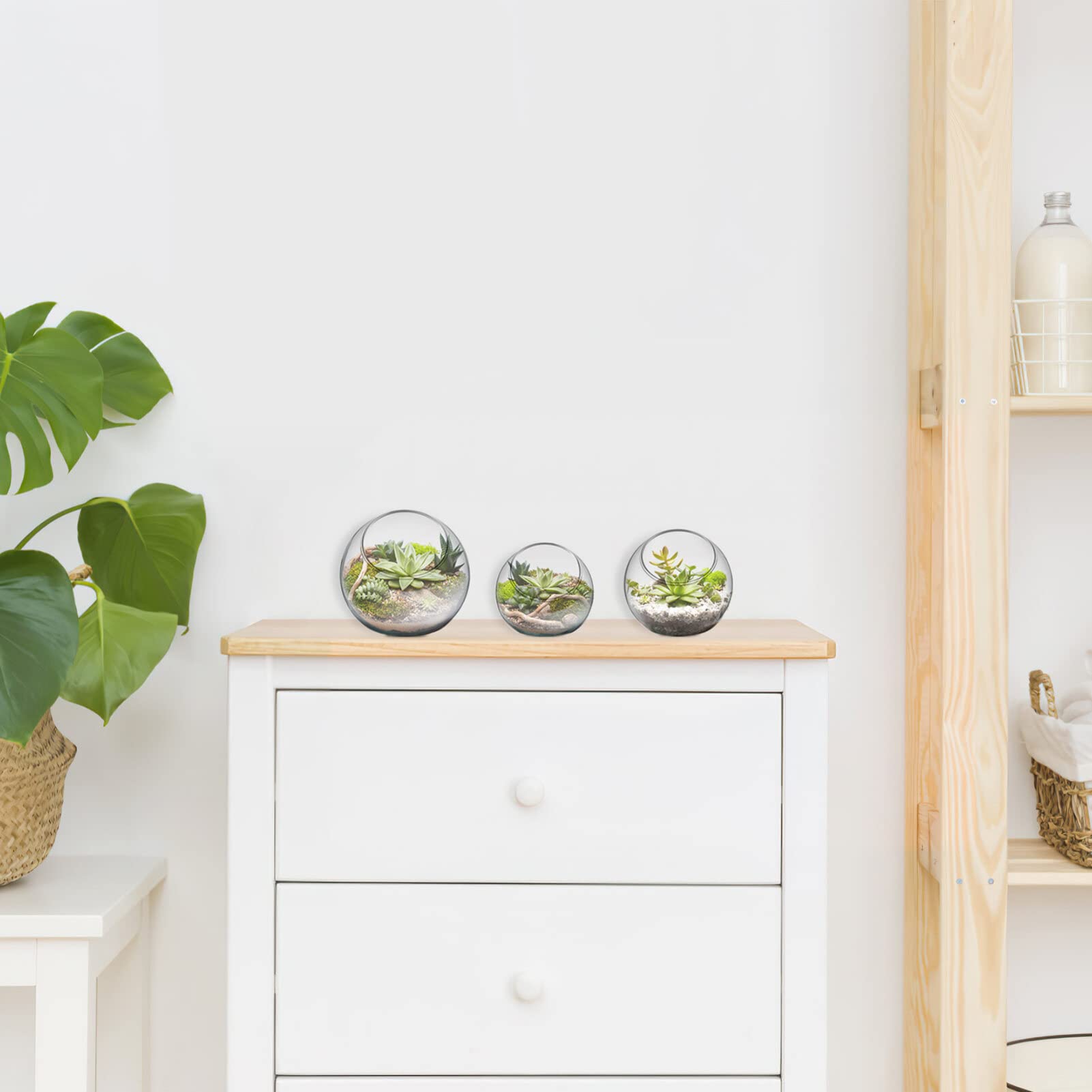 Alipis Terrario de Vidrio Chic para Plantas Fácil de Mostrar, 3 Piezas Redondas Ideales para Decoración del Hogar y Proyectos DIY en Fiesta Verano