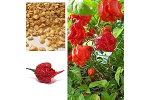 Carolina Reaper Seeds: Unleash the Fiery Heat in Your Garden