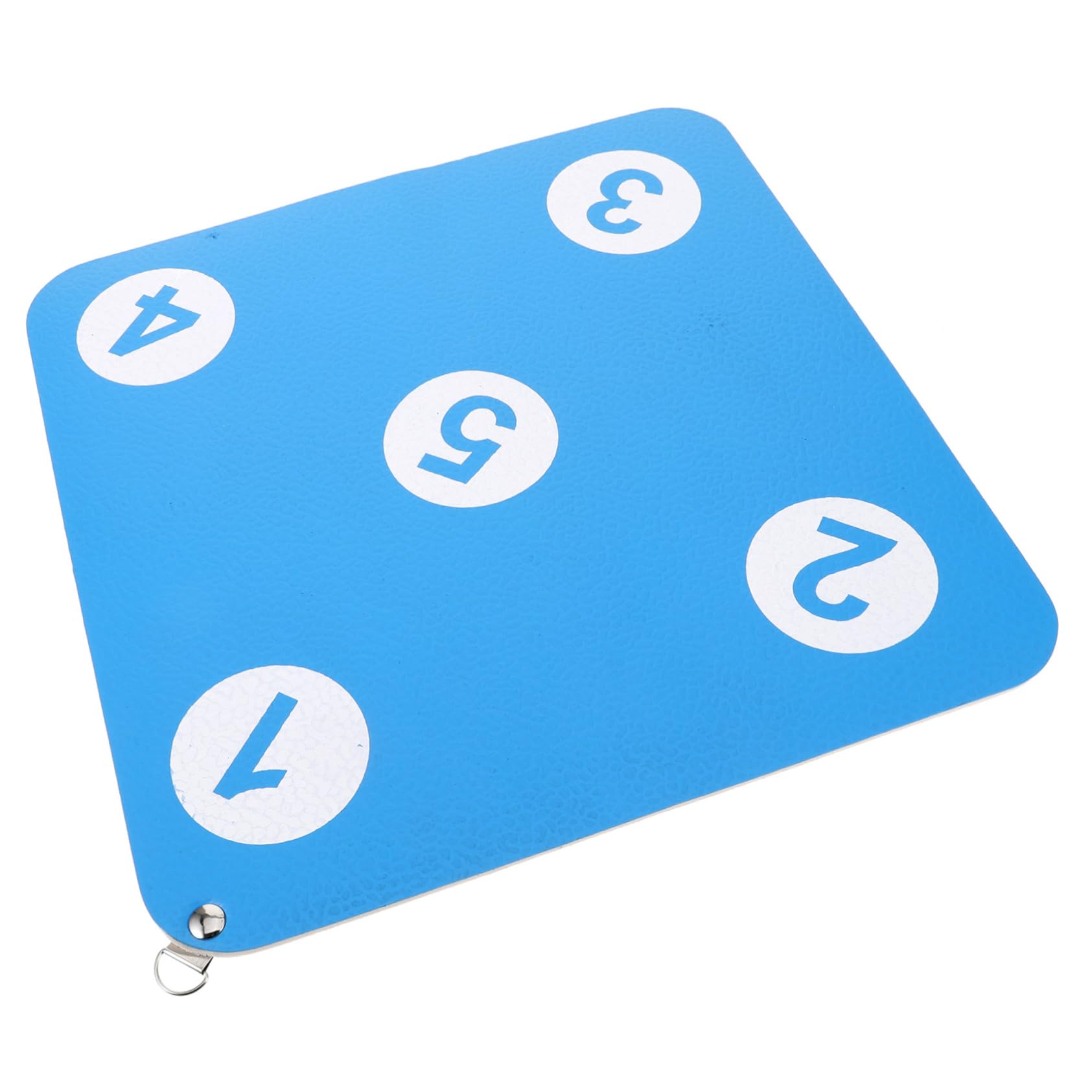 Alasum Fencing Training Target Rubber Fencing Wall Target for Indoor Practice Durable Fencing Equipment for Beginners Easy to Install Present for Fencing Enthusiasts