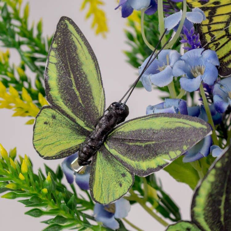 Papillons Décoratifs Multicolores Mignons | Vecteur Gratuite