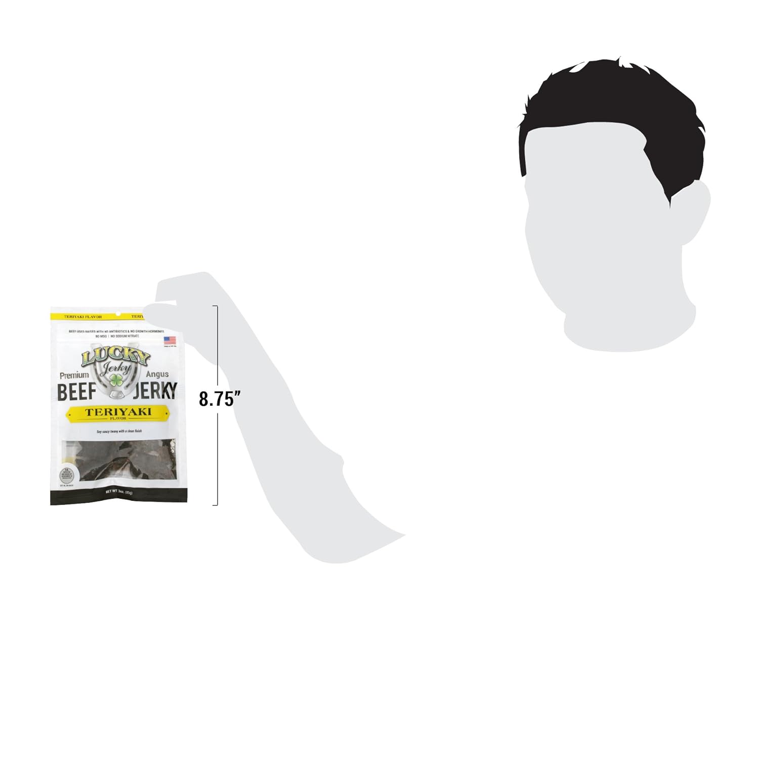 Lucky Beef Jerky - 3oz Slab (Teriyaki, 12 Pack)