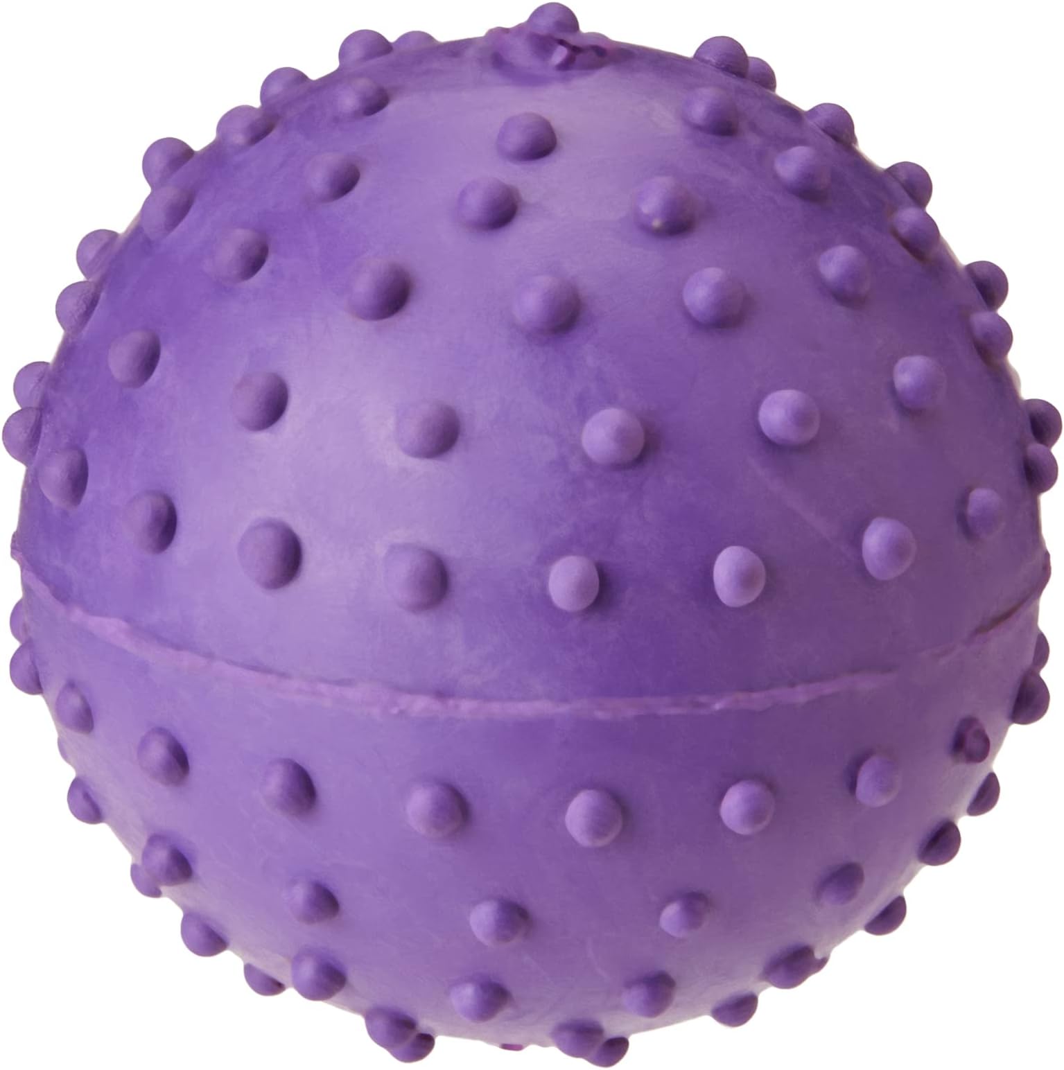 CLASSIC Pet Products for Dogs Pimple Ball with Bell, 60 mm, Purple