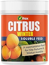 Vitax Citrus Winter Soluble Plant Feed, Balanced Maintenance Feed, Discourgaes Premature Leaf Drop, For Use Over Autumn/Winter: 200G