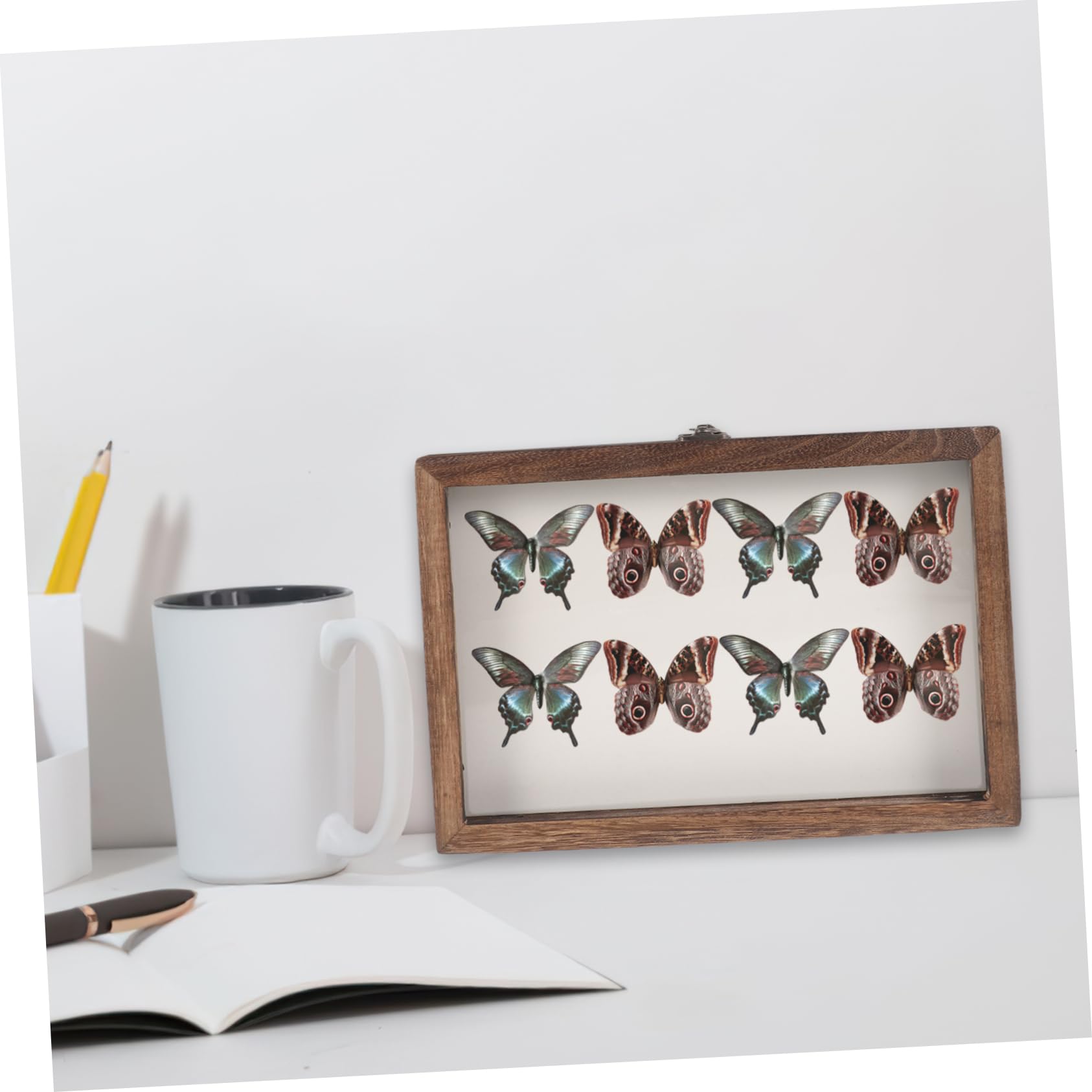 Holibanna Caja De Insectos Ventana Transparente Vitrina De Madera Diseño Colgante Para Muestras