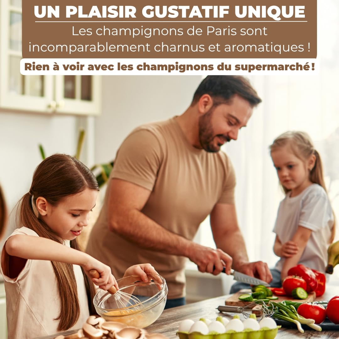Hawlik Kit Champignons de Paris - Lot de 2 Cultures - Blancs et Bruns
