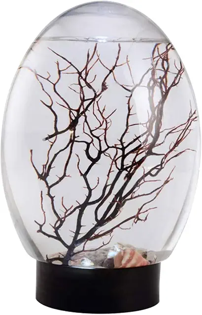 Mini Aquarium Biosphère Écosystème Fermé avec LED - Pas d'Entretien