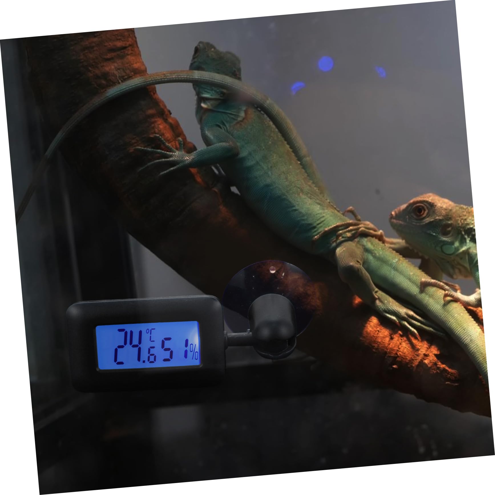 Milisten 4stücke Reptilien Thermometer Digital Mit Rotation Hygrometer Und Großer Saugnapf Für Terrarien Und Aquarien Präzise Temperatur Und Luftfeuchtigkeitsmessung Für